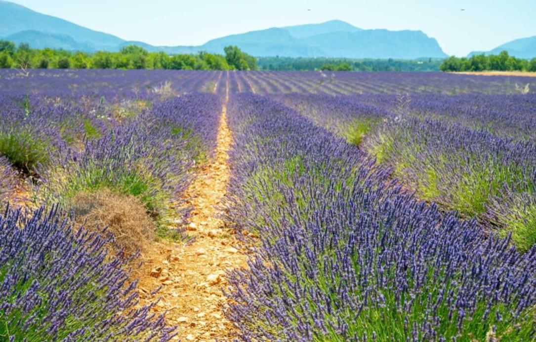 Fuvolea, Maison De Vacances A 15 Min Du Centre D'Aix-En-Provence, Piscine Chauffee En Saison - Jardin - Parking Prive Gratuit Fuveau Esterno foto