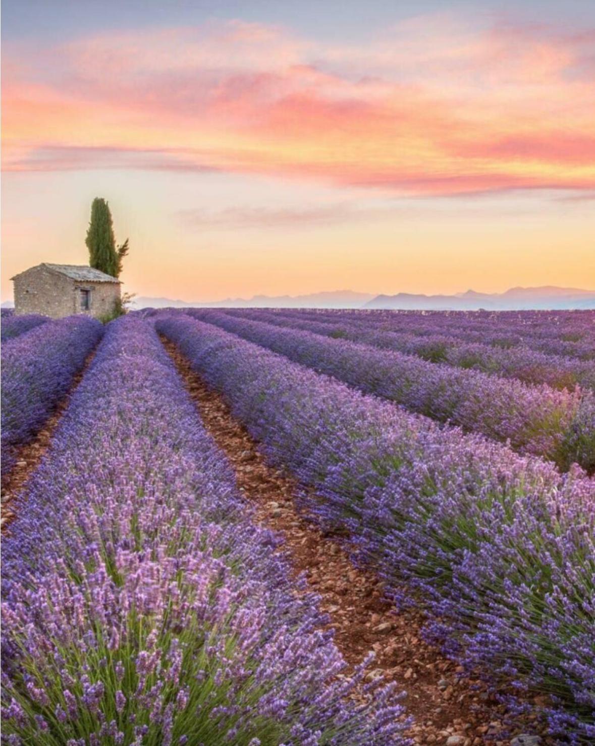 Fuvolea, Maison De Vacances A 15 Min Du Centre D'Aix-En-Provence, Piscine Chauffee En Saison - Jardin - Parking Prive Gratuit Fuveau Esterno foto
